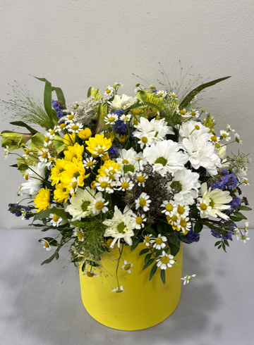 Композиция в шляпной коробке из хризантем и ромашек  от интернет-магазина цветов в 