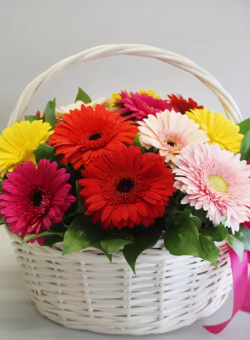 Герберы в корзине от интернет-магазина цветов в 