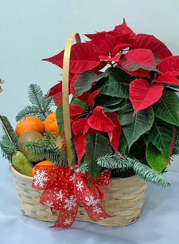 Фруктовая корзина №8 от интернет-магазина цветов в 