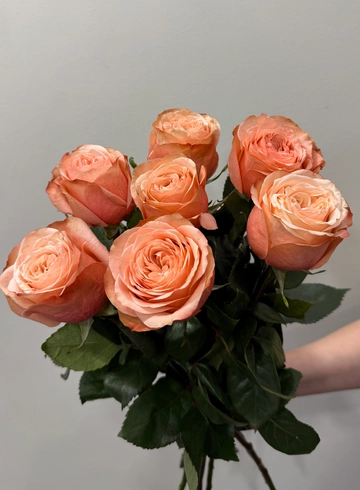 Персиковая Роза  от интернет-магазина цветов в 