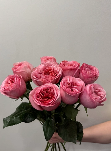 Роза Лондон Ай  от интернет-магазина цветов в 